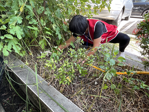 園藝志工小組出任務照片8