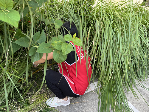 園藝志工小組出任務照片9