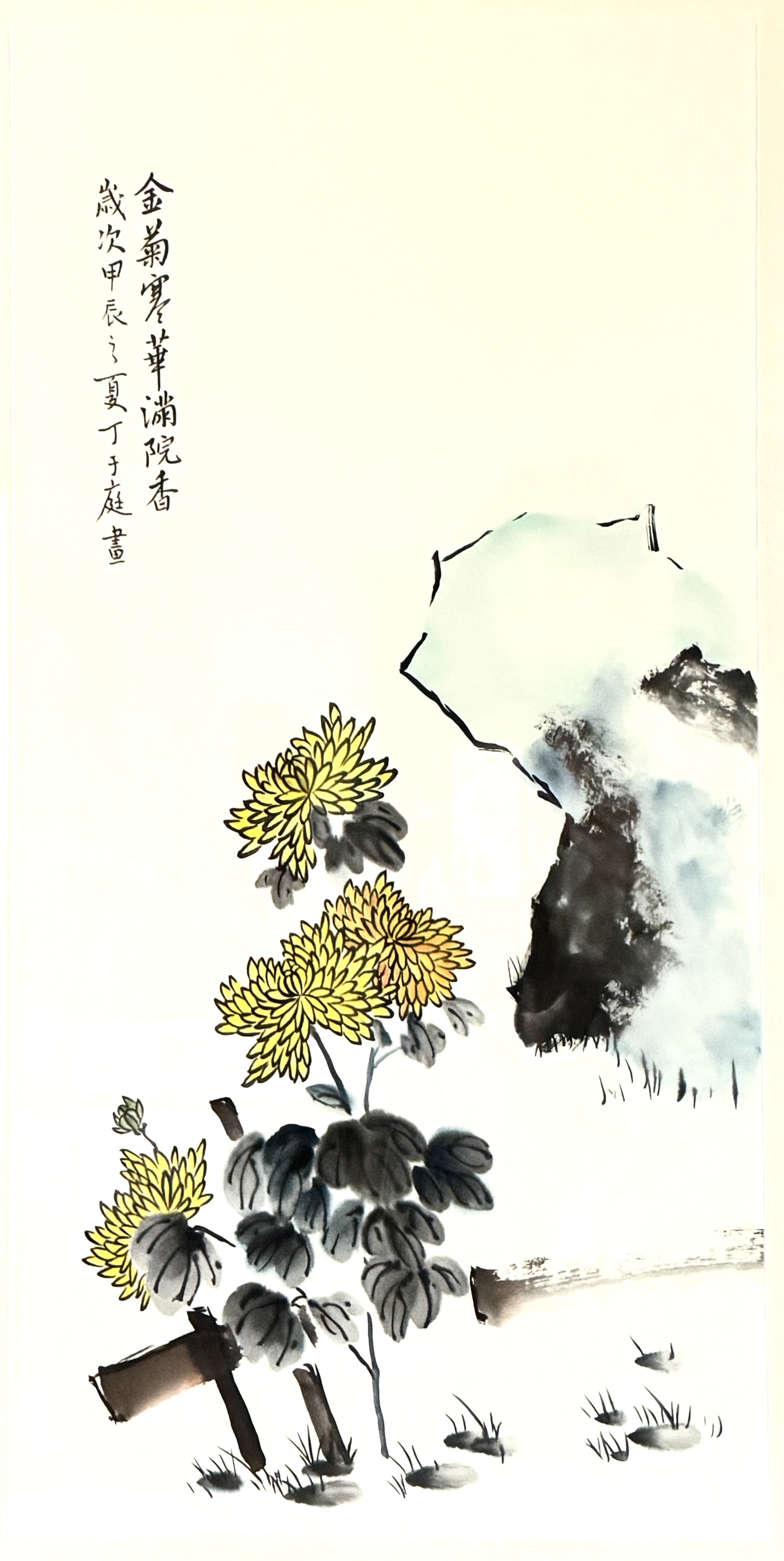 寒華金菊jpg