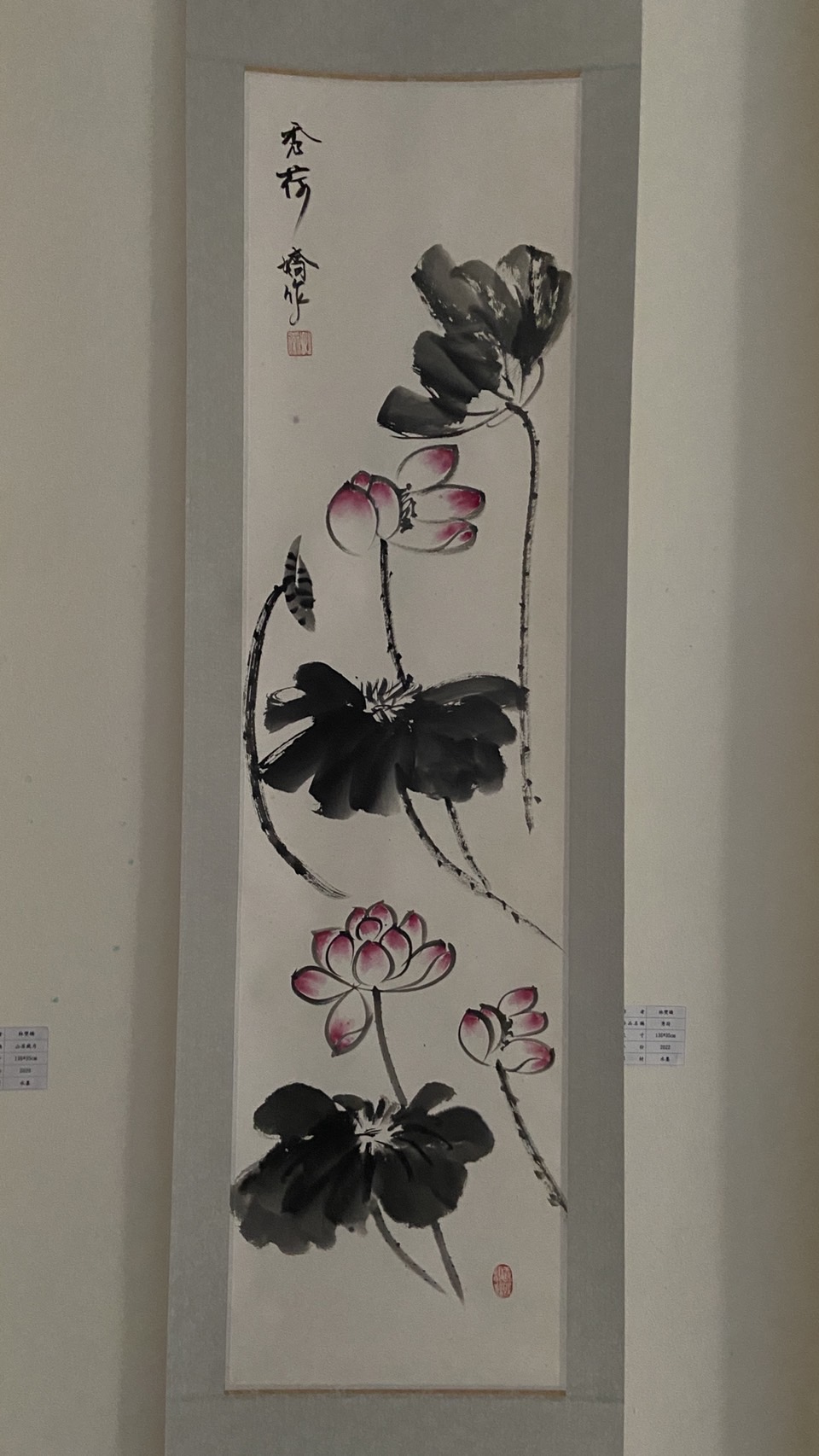 秀荷jpg