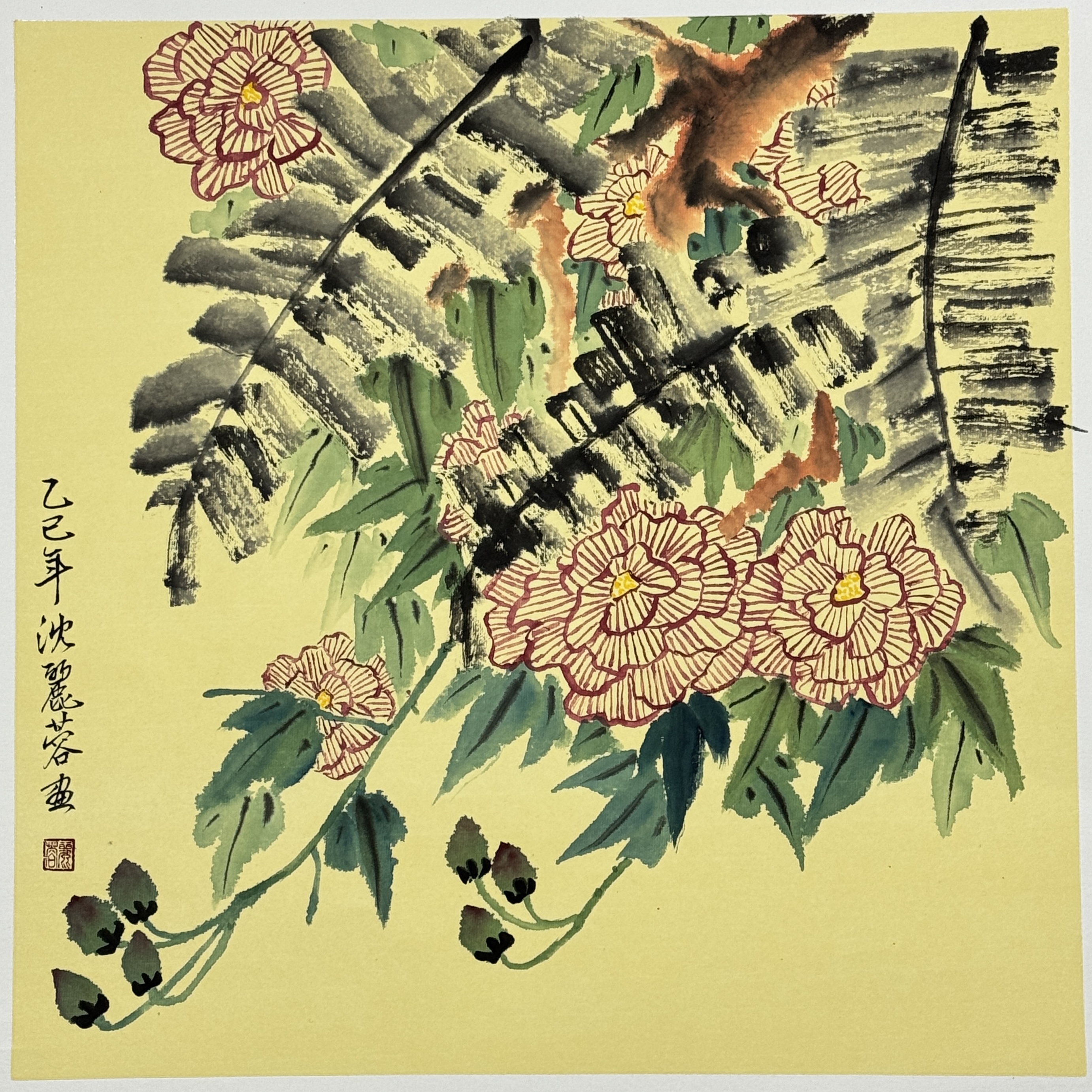 初發芙蓉jpg